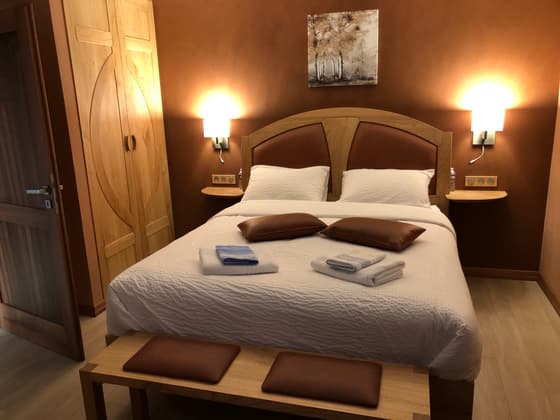 Chambre avec un lit double avec téléviseur et placard intégré.
